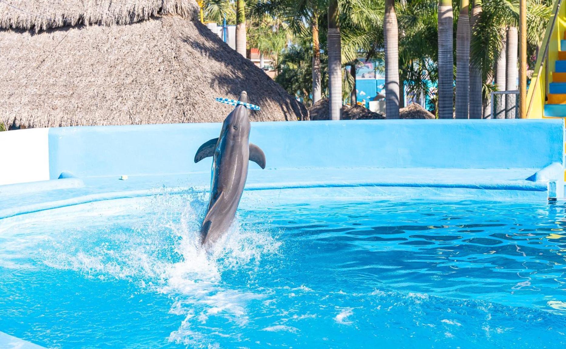 Splash Inn Nuevo Vallarta & Parque Acuatico Esterno foto